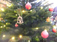 Aufstellen und Schmücken des Weihnachtsbaums im Saal am 23. November 2015